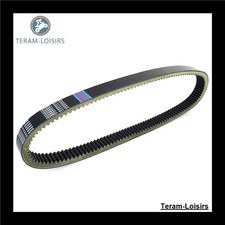 Courroie pour Argo Magnum 8x8