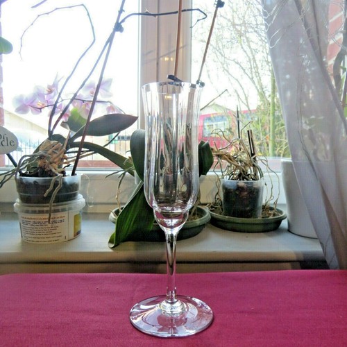 Flute champagne en - 1,