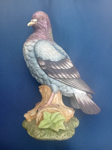 1970 superbe pigeon - superbe,