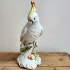 Cacatoès Oiseau Perroquet en