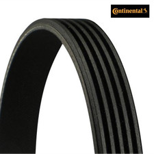 V-ribbed Belt CONTINENTAL CTAM