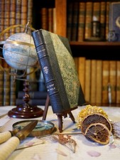 La mort de Philæ, ex num°