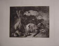 Belle estampe Le Perroquet