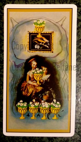 Salvador dali lame tarot - salvador, de