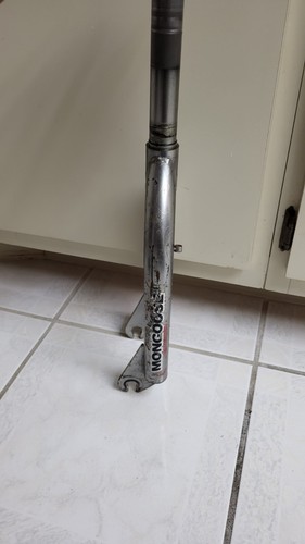 Mongoose fork old - mongoose,