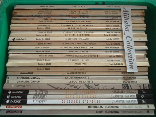 Lot blueberry charlier - 26,