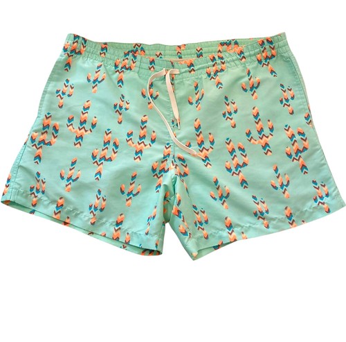 Chubbies cactus print swim - cactus,