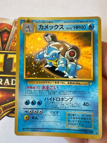 Pokemon japan blastoise - pokemon,