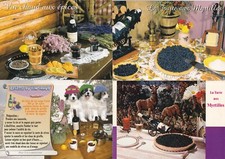 Lot de 4 cartes postales