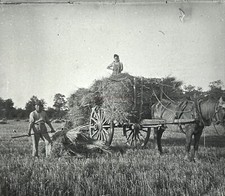 FRANCE Moisson c1935 Photo