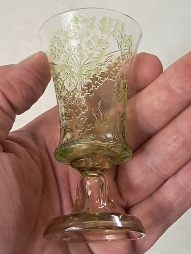 Verre aux ombelles emile - ombelles,