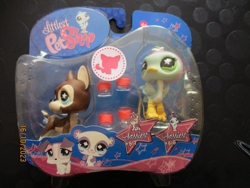 Petshop duo chien dogue - petshop,