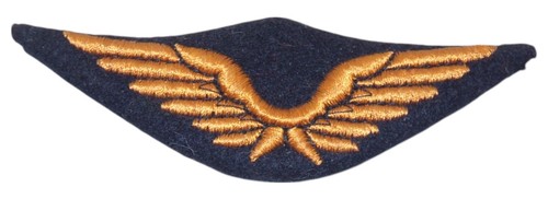 Insigne casquette troupe - insigne,
