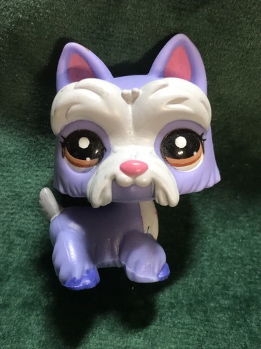Petshop chien westie - 💖🌺petshop,