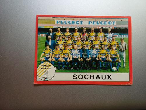 Vignette panini football 1995 - football,