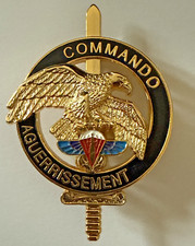 Brevet commando AGUERRISSEMENT  FORCES SPECIALES PARA  2 RPIMA , Doré