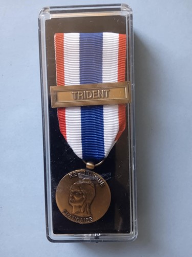 Medaille protection militaire - medaille, "protection