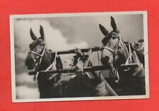 Chevaux de trait  .....   (Ref. G3312)