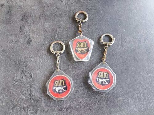 Lot porte cle - porte,