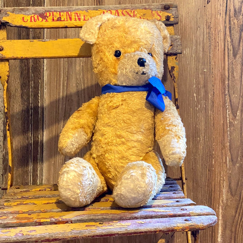 Ancien ours peluche - ours,