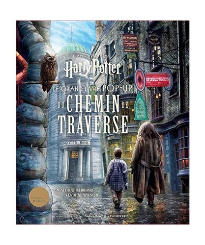 Harry potter grand livre - :,