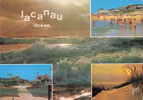Lacanau ocean - 33,