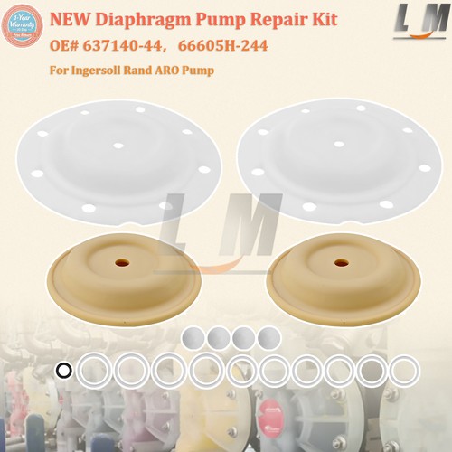 New diaphragm pump - pump, repair
