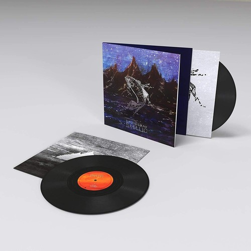Gray david skellig double - skellig,