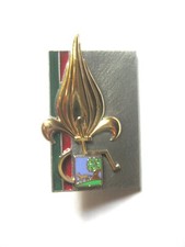 Insigne legion etrangere iile - etrangere,