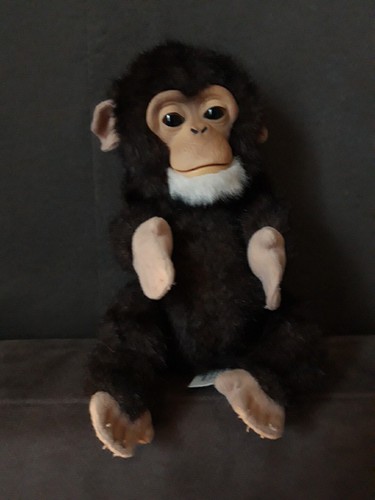 Peluche bébé singe - bébé,