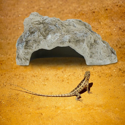 Accessoires pour terrarium - , de