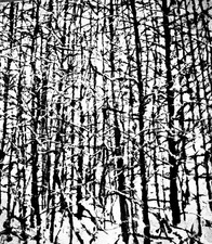 Offre important lot de bandes