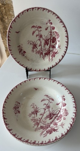 Assiettes porcelaine opaque - assiettes,
