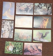 10 grandes images collection