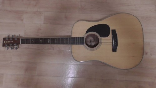 Guitare acoustique morris 40 - guitare,