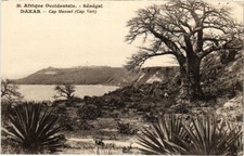 CPA AK SENEGAL Dakar - Cap Manuel - Cap Vert (1060866)