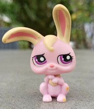 Petshop Lapin Garenne / LPS