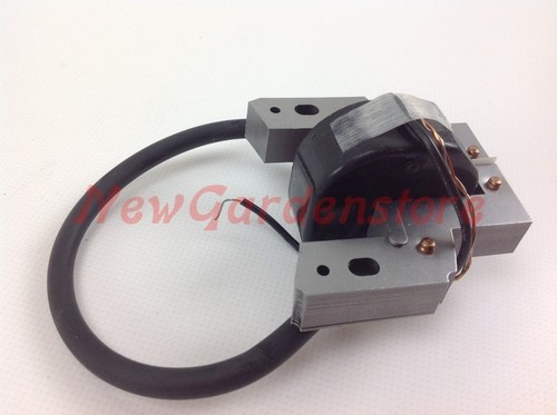 Bobine allumage briggs - briggs, &