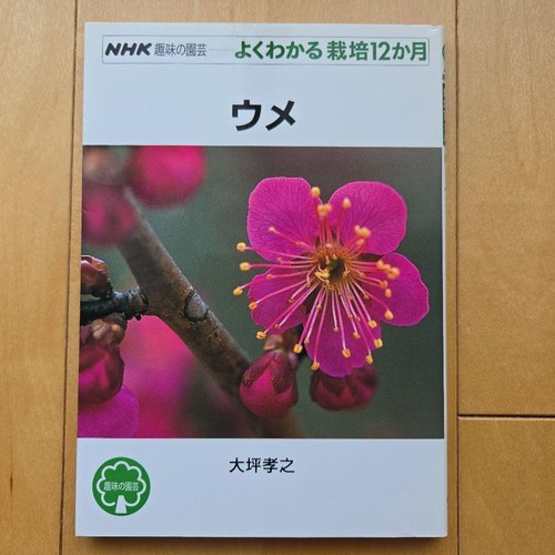 Japanese plum prunus mume - mume, 12