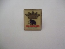 PINS MAGASIN  MAMMOUTH  CENTRE DE VIE