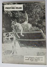 PRESTINE VELOX Edition 1930' photo Championnat Chiens Police Berger Allemand