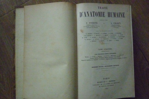 Traité anatomie humaine - traité,