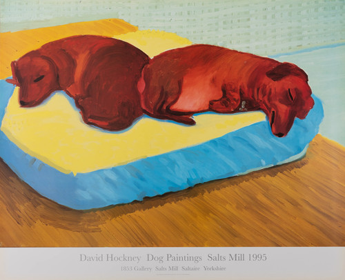 David hockney dogs - hockney,