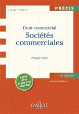 Droit commercial : Sociétés