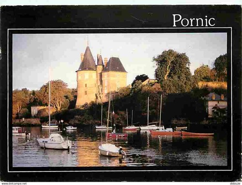 Carte postale pornic - 44,