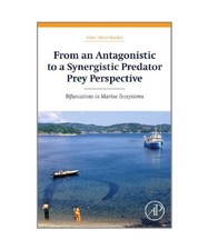 From an Antagonistic to a Synergistic Predator Prey Perspective: Bifurcations in