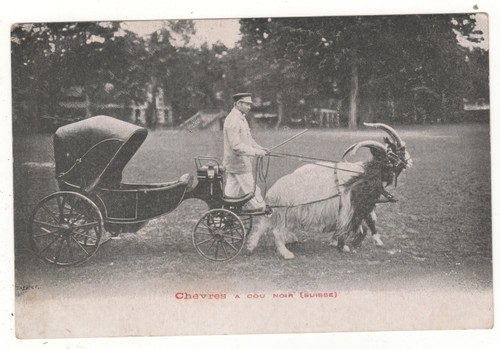 Cpa suisse attelage - suisse,