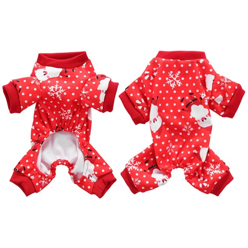 Vetement chien petite taille - petite,