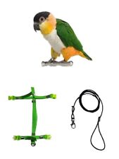 Bavoir Perroquets Taille