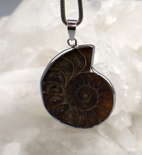 Grand PENDENTIF AMMONITE
